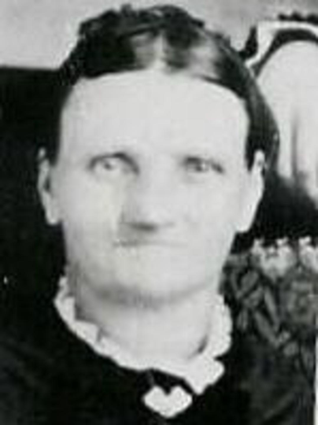 Mary Elizabeth Hazeldine (1830 - 1895) Profile